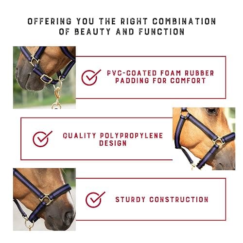Weaver Equine Breakaway Horse Halter, Comfort Foam Padding, Adjustable Chin & Throat Snap Halters for Horses, Equine Tack,Average Size thumbnail 4