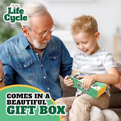 Life Cycle Animal Kit - Montessori Science Toy with 24-Piece Matching Game, Butterfly, Frog, Chicken, Bee, Ladybug and Turtle STEM Educational Gift, Easter Basket fillers for Kids Ages 3-8 thumbnail 6