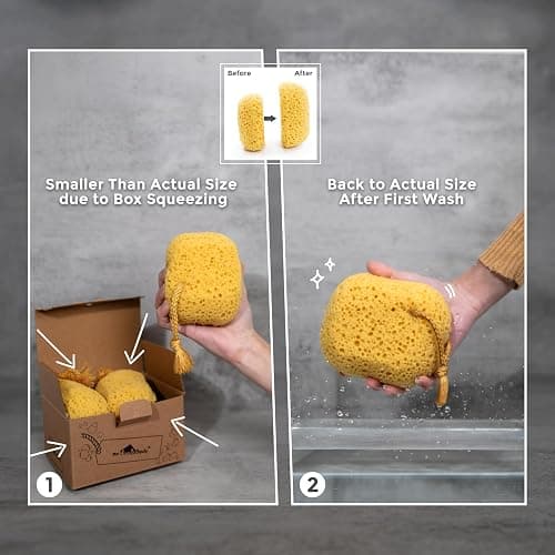 myHomeBody Bath Sponge, Foam Loofah, Body Scrubber for Bathing, Exfoliating Shower Pouf for Shower – Large Size, Lots of Lather, Curvy, 3 Pack thumbnail 4