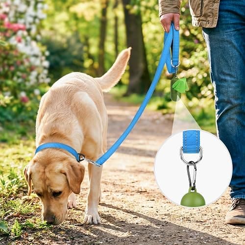 Joytale Dog Leash, 6 FT Double-Sided Reflective, Padded Handle Nylon Heavy Duty Leashes for Medium & Large Dogs Walking, SkyBlue thumbnail 2