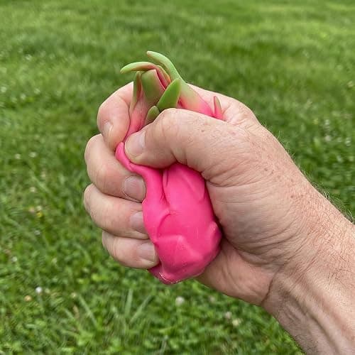 Dragon Fruit Squishy, Squishy Dragon Fruitrealistic Soft Slow Rising Stress Relief Fruit Toy, Cute Sensory Fidget Toy for Kids & Adults, Anxiety Relief Squeeze Toy for Desk Decor, Birthday Gift (1Pcs) thumbnail 5