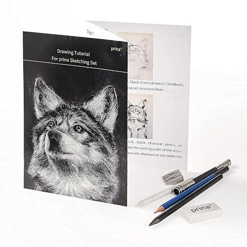 Prina 50 Pack Drawing Set Sketch Kit, Sketching Supplies with 3-Color Sketchbook, Graphite, and Charcoal Pencils, Pro Art Drawing Kit for Artists Adults Teens Beginner Kid, Ideal for Shading, Blending thumbnail 8