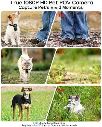 AEZ Pet Camera Collar with APP Control, 1080P HD Pet POV Camera, 210-mins Recording Wearable Action Camera with Hotspot WiFi, Magnetic Clip Camera for Cats Dogs Kids & Outdoor Use (No SD Card) thumbnail 3
