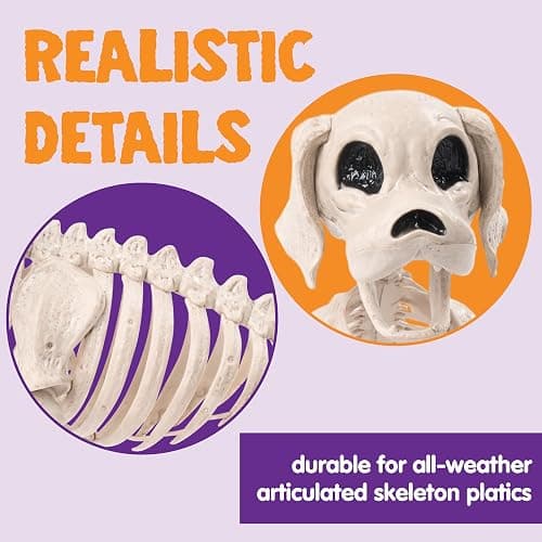 JOYIN Posable Halloween Dog Skeleton Full Body Posable Joints Realistic Skeleton Puppy with Movable Joints for Halloween Decoration, Graveyard Party Decor (9.8” X 4.7” X 12.6”) thumbnail 8