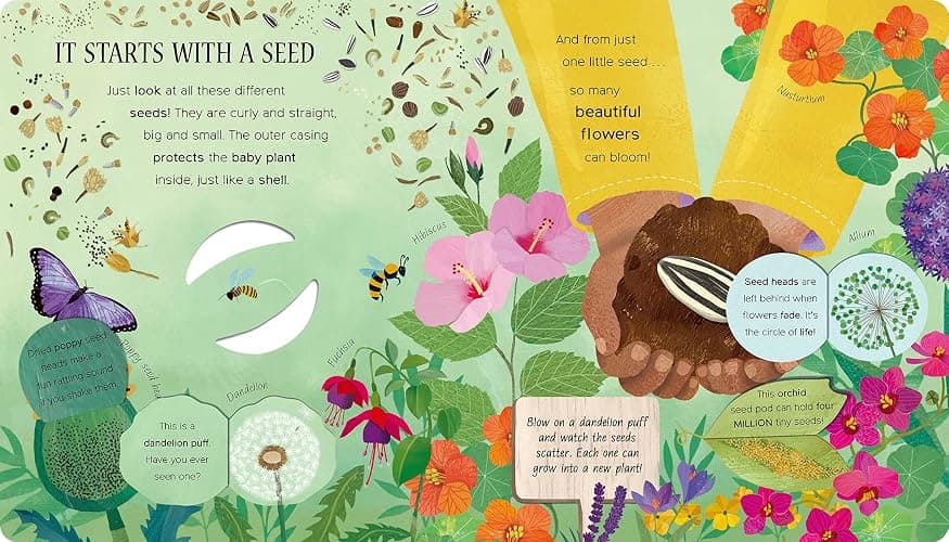 One Little Seed: Exploring Nature for Curious Kids thumbnail 3