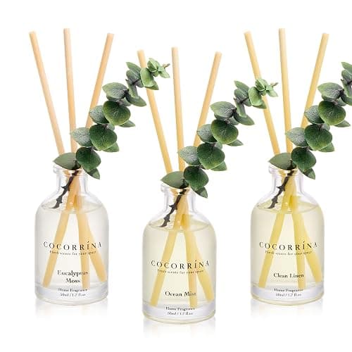 COCORRÍNA Reed Diffuser Set of 3 with Dried Eucalyptus for Home & Office | Eucalyptus & Moss/Clean Linen/Ocean Mist Scents,Aromatherapy Scented Oil Diffusers, 1.7 oz Each, Total 5.1 oz - Image 1
