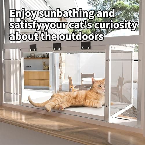 Window cat Perch Catio. Cat Window Box. Wood Window Catio. Cat Catio Window Perch. Window Catio for Indoor Cats. ZSHLXM thumbnail 6