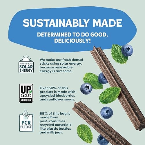 Shameless Pets Blueberry & Mint Dental Chews for Dogs, 8 Chews - Natural Dog Teeth Cleaning Treats with Fresh Breath Benefits | Grain-Free Dental Sticks for Small, Medium & Large Dogs thumbnail 7