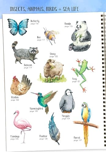 Watercolor Success in Four Steps: 150 Skill-Building Projects to Paint (Design Originals) Beginner-Friendly Step-by-Step Instructions & Techniques to Create Beautiful Paintings as Easy as 1-2-3-4 thumbnail 3