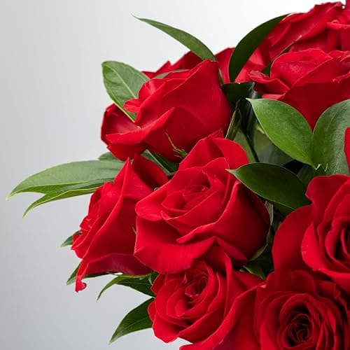 Benchmark Bouquets - Red Roses Bouquet - Fresh Flowers for Delivery - Real Roses - Two Dozen Long Stem Roses for Anniversary - Romantic Gift Set - Gifts for Women (Glass Vase Included) thumbnail 3
