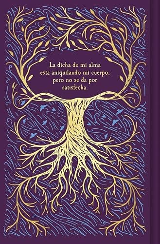 Cumbres borrascosas / Wuthering Heights (Spanish Edition) thumbnail 2