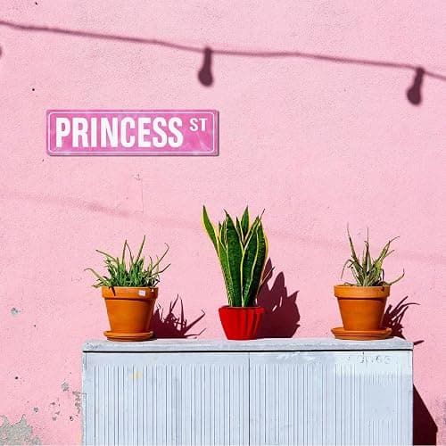 Cute Princess Pink Room Decor Y2K Wall Sign for Teen Girls Cubicle Accessories Aesthetic Posters Dorm Bedroom Decoration, Kawaii, Birthday, Christmas Gifts thumbnail 2