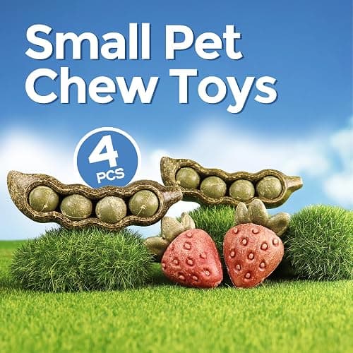 TEEWY 4PCS Guinea Pig Toys, Prevent Teeth Overgrowth, Natural Vegetables and Timothy Grass, Hamster Chew Toys, Guinea Pig Chew Toys, Chinchilla Toys, Peapod and Stawberry Chew Toy Set thumbnail 3