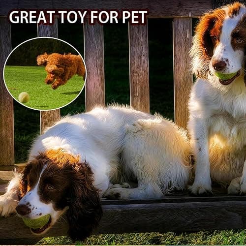 SHYUJAJIE Tennis Balls, 20 Pack Training Tennis Balls,High Elasticity Practice Tennis for Beginner, Exercise Playing Balls for Pet Dog thumbnail 8