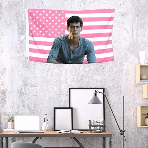Shmbada Dylan O'Brien 3x5 Foot Decorative Flag with 2 Brass Grommets for Outdoor Indoor, Double Stitched, Wall Hanging Room Decor Tapestry, College Dorm Porch Outside Decorations Teen Wolf - Dylan O'Brien A thumbnail 3