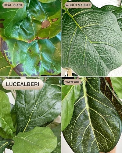 LuceAlberi Artificial Fiddle Leaf Fig Tree 6FT - Large Fake Tree with White Planter&Basket, Tall Faux Ficus Lyrata Tree Floor Plants for Indoor Home Decor Office Living Room Housewarming Gift, 1Pack thumbnail 6