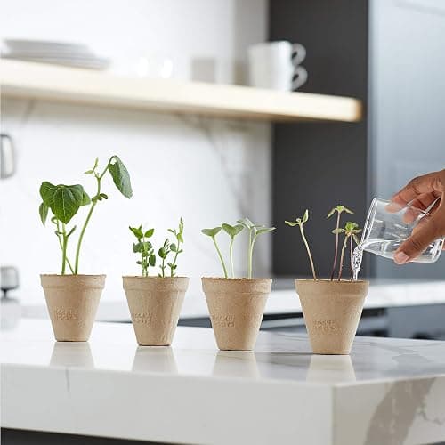 Back to the Roots Kids Science Grow Kit - 2 pk Bean and Watermelon thumbnail 6