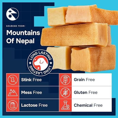 100% Natural Yak Cheese Himalayan Made Dog Chews All Breeds - Lactose Free Yak Chew for Small Medium & Large Dogs - Dental Cleaning Dog Chews for Aggressive Chewers - Long Lasting Odor & Gluten Free thumbnail 3