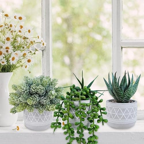 Winlyn Set of 3 Mini Faux Succulent Potted Plants Artificial Aloe Hops String of Pearls Fake Succulents in Gray Geometric Concrete Pots for Home Office Table Shelf Kitchen Living Room Boho Décor thumbnail 8