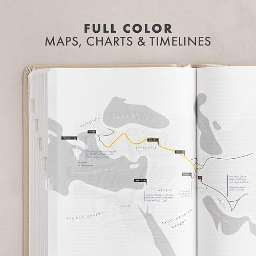 CSB She Reads Truth Bible, Champagne Gold LeatherTouch, Indexed, Black Letter, Full-Color Design, Wide Margins, Journaling Space, Devotionals, Reading Plan, Single-Column, Easy-to-Read Serif Type thumbnail 5