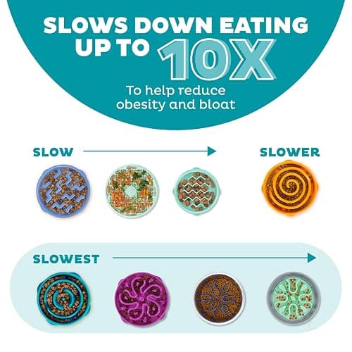 Outward Hound Medium Slow Feeder Bowl, Puzzle Maze for Fast Eaters, Small to Medium Dogs, Helps Prevent Bloat & Aid Digestion, Holds 2 Cups Wet or Dry Food, Non-Slip, Made Without BPA, Turquoise thumbnail 4