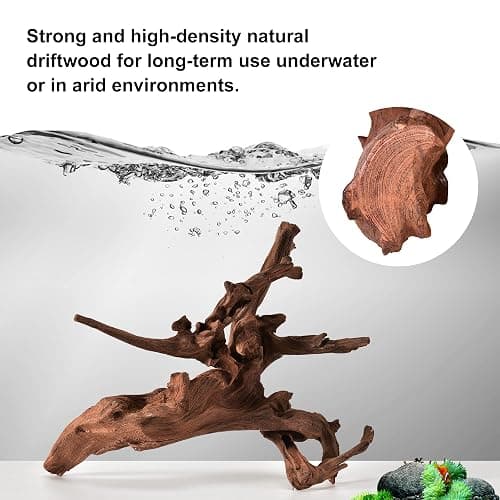 majoywoo Natural Coral Driftwood for Aquarium Decor Fish Tank Decorations, Assorted Driftwood Branch 6-10" 3 Pcs, Reptile Decor… thumbnail 3
