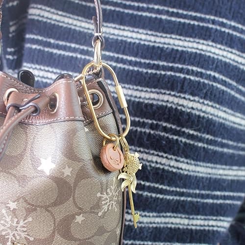 CMVFYL Gold Brass Key Rings, Purse Bag Charms for Handbags, Screw Lock Key Organizer, Carabiner Keychain Clip for Keys - Large thumbnail 7