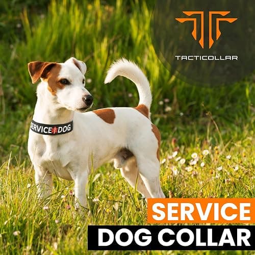 Tacticollar - Service Dog Collar, Nylon, Adjustable, Embroidery ((X-Small) 10-12in Length x 1in Width) thumbnail 2