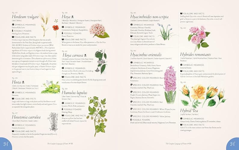 The Complete Language of Flowers: A Definitive and Illustrated History (Volume 3) (Complete Illustrated Encyclopedia, 3) thumbnail 11