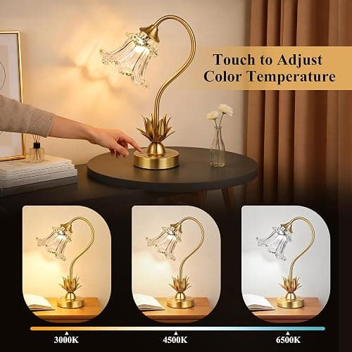 Cordless Flower Table Lamp with Glass Lampshade, 5200mAh Rechargeable Battery, 3-Color Dimmable Touch Control, Portable Desk Lamp for Nightstand, Patio, Camping, Restaurant & Home, Transparent thumbnail 3