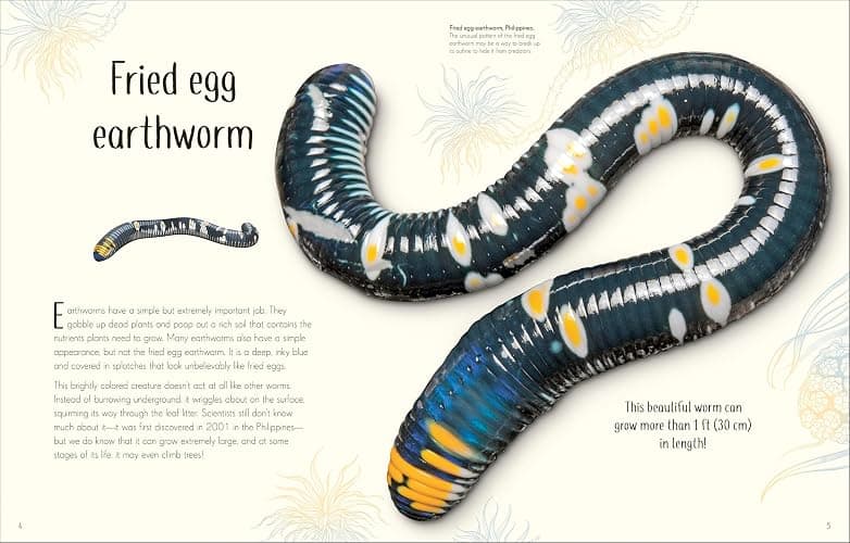 An Anthology of Remarkable Bugs (DK Children's Anthologies) thumbnail 2