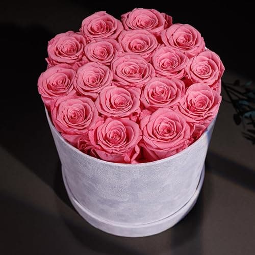 Prifroti 17 Flowers in a Luxury Suede Box, Birthday Gifts for Women, Preserved Flowers, Mothers Day Roses Gift for Mom, Light Pink thumbnail 4