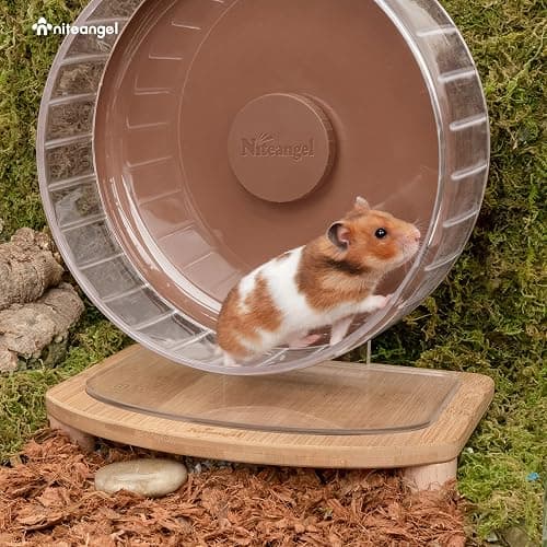 Niteangel Anti-Slide Hamster Wheel Platform for Super-Silent, Acrylic, Wooden, and Cloud Series Wheels (Small) thumbnail 5