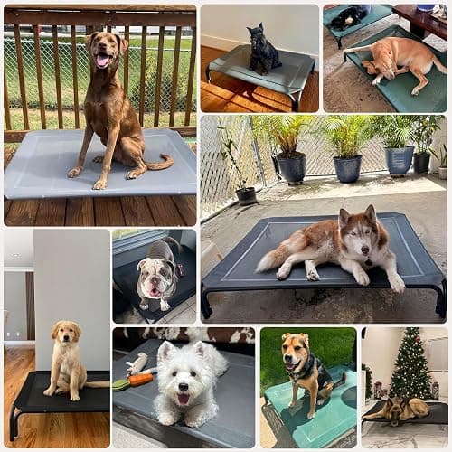 Elevated Dog Bed Raised Outdoor Dog Cot for Extra Large Dogs, Installation Requires No Tools, Frame with Washable Cooling Breathable Mesh Anti-Slip Feet, Indoor Pet Bed, Black, 48.8 Inches thumbnail 7