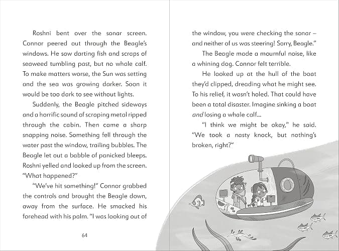 Adventures with The Secret Explorers: Collection One: 4-Book Box Set of Educational Fiction Chapter Books Books thumbnail 6