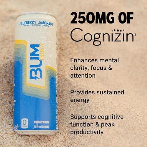 BUM Sugar-Free Energy Drink, Blueberry Lemonade - Lightly Carbonated & No Artificial Colors, Natural Caffeine & Citicoline for Energy & Focus, Brain Boost & Workout Sports Beverage - 12 oz, Pack of 12 thumbnail 4