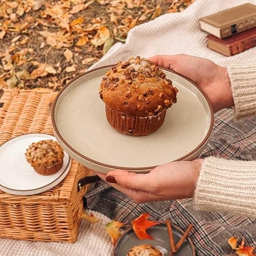 Mora Ceramic Flat Plates Set of 6-8 in - The Dessert, Salad, Appetizer, Small Lunch, etc Plate. Microwave, Oven, and Dishwasher Safe, Scratch Resistant. Kitchen Porcelain Dish - Neutrals thumbnail 6