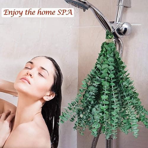 10 Pcs Dried Preserved Eucalyptus for Shower ,17" Real Natural Fresh Hanging Eucalyptus Stems,Real Leaves Branches for Vase Filler,Bathroom,Wedding,Dried Flowers Arrangement Decor - Green-10pcs thumbnail 3