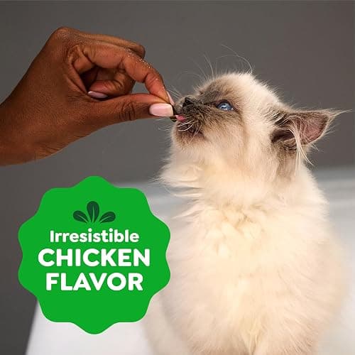 Greenies Feline Smartbites Healthy Kitten Treats for Indoor Kittens, Crunchy and Soft Natural Cat Treats, Chicken Flavor, 16 oz. Tub thumbnail 7