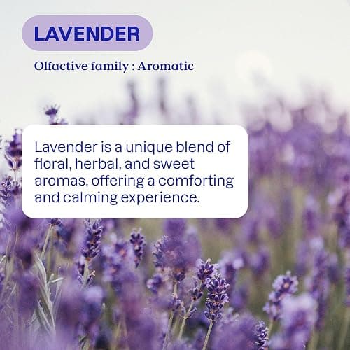 ATTITUDE Liquid Laundry Detergent Refill, EWG Verified, HE Compatible, Plant-Based & Vegan, Natural Laundry Soap, Lavender Scent, 160 Loads, 135.26 Fl Oz thumbnail 4
