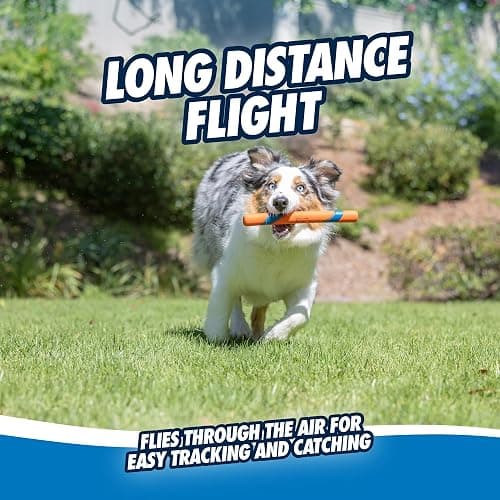 Chuckit! Interactive Dog Toy Ultra Fetch Stick - 12 Inch Outdoor Dog Toy for All Breed Sizes thumbnail 7
