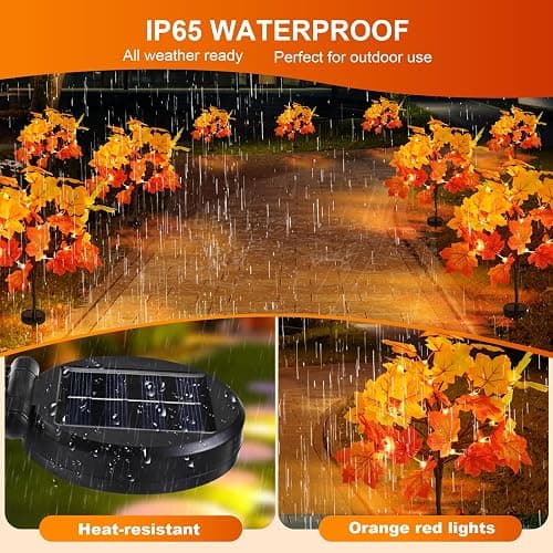 2 Pack Solar Fall Lights for Outside, Fall Décor 40LED with Maple Leaf Solar Stake Lights Outdoor, Waterproof Fall Lights for Yard Pathway, Halloween Thanksgiving Christmas Decorations - Maple Leaf, Orange thumbnail 3
