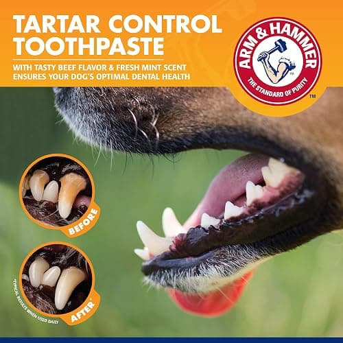Arm & Hammer for Pets Tartar Control Kit for Dogs | Contains Toothpaste, Toothbrush & Fingerbrush | Reduces Plaque & Tartar Buildup | Safe for Puppies, 3-Piece , Beef Flavor thumbnail 5