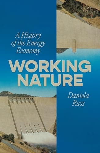 Working Nature: A History of the Energy Economy - Image 1