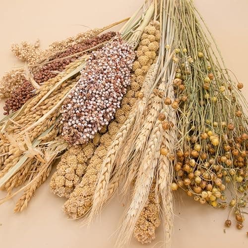 NICERINC PET Natural Ear of Grain Flower&Herb Bedding Mate Habitat Decor, Adding Fun Hamster Accessories for Hamsters Gerbils Lemming | Natural Ear of Grain Flower&Herb Bedding Mate Habitat Decor, Adding Fun Hamster Accessories for Hamsters Gerbils Lemming thumbnail 5