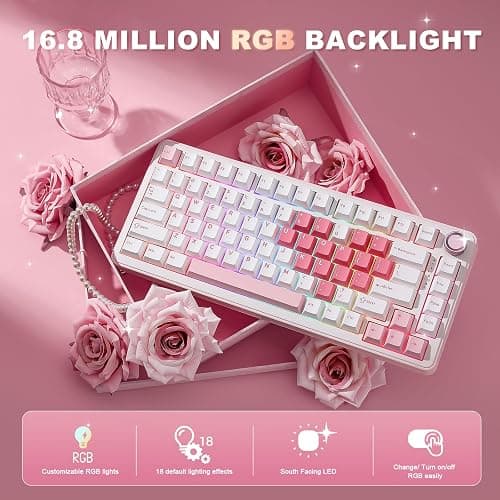 YUNZII B75 PRO Wireless Mechanical Keyboard,75% Gaming Keyboard Gasket Hot Swap Custom Keyboard with Knob,Pre-lubed Switches RGB,Bluetooth/Type-C/2.4G (White Heart, Cocoa Cream V2 Switch) thumbnail 6