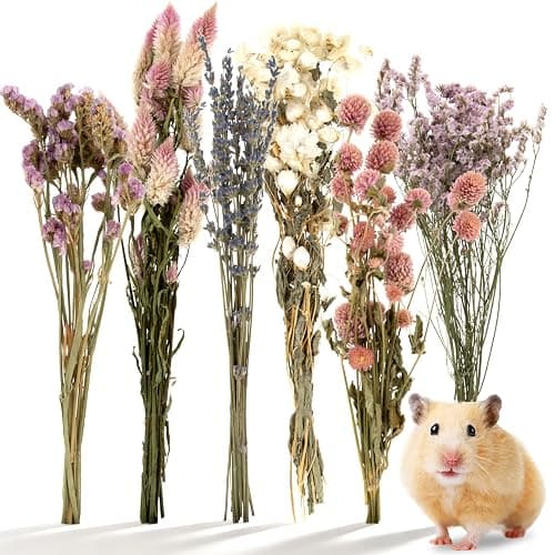 Sukh Natural Hamster Sprays Habitat Decor – Hamster Cage Accessories for Hamster Enrichment, Botanical Hamster Hideout & Hamster Cage Decor for Syrian Hamster, Dwarf, Gerbil & Small Animal - Image 1