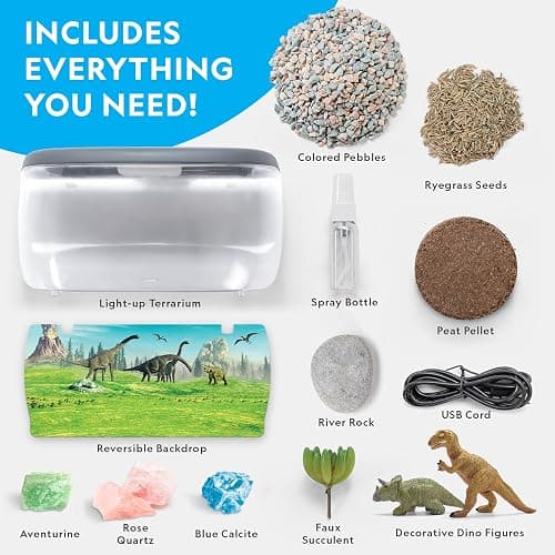 National Geographic Light Up Terrarium Kit for Kids - Build a Dinosaur Habitat with Real Plants & Gemstones, Science Kit, Dinosaur Toys for Kids (Amazon Exclusive) thumbnail 6