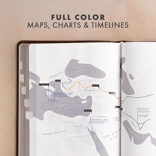CSB She Reads Truth Bible, Brown Genuine Leather, Indexed, Black Letter, Full-Color Design, Wide Margins, Notetaking Space, Devotionals, Reading ... Ribbon Markers, Easy-to-Read Bible Serif Type thumbnail 6