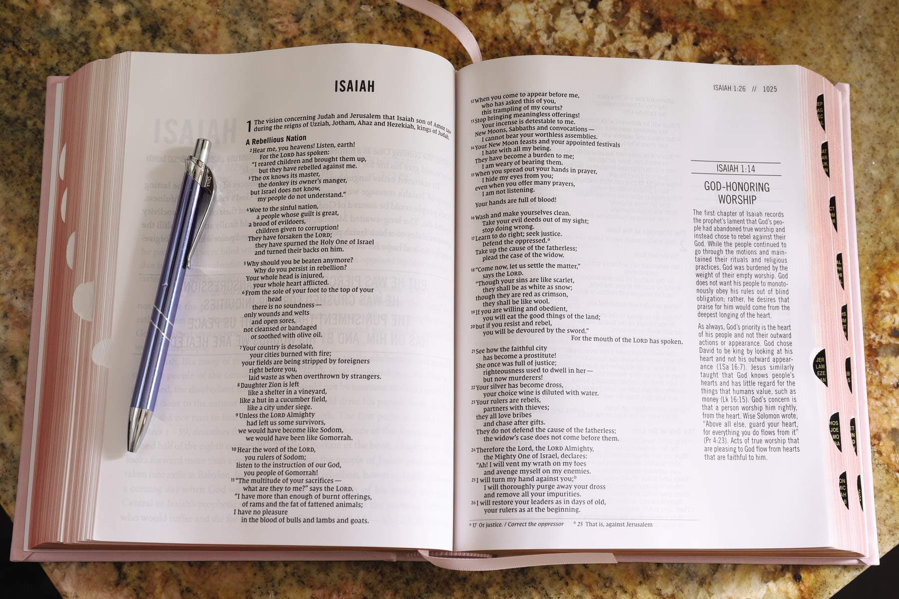 The Jesus Bible Indexed NIV Edition [Pink] thumbnail 8